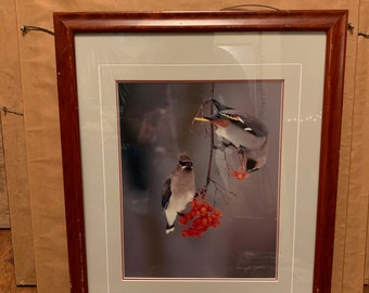 May include: Framed print of two birds perched on a branch with red berries. The birds are gray and white with black eyes. The background is a blurry image of a forest.