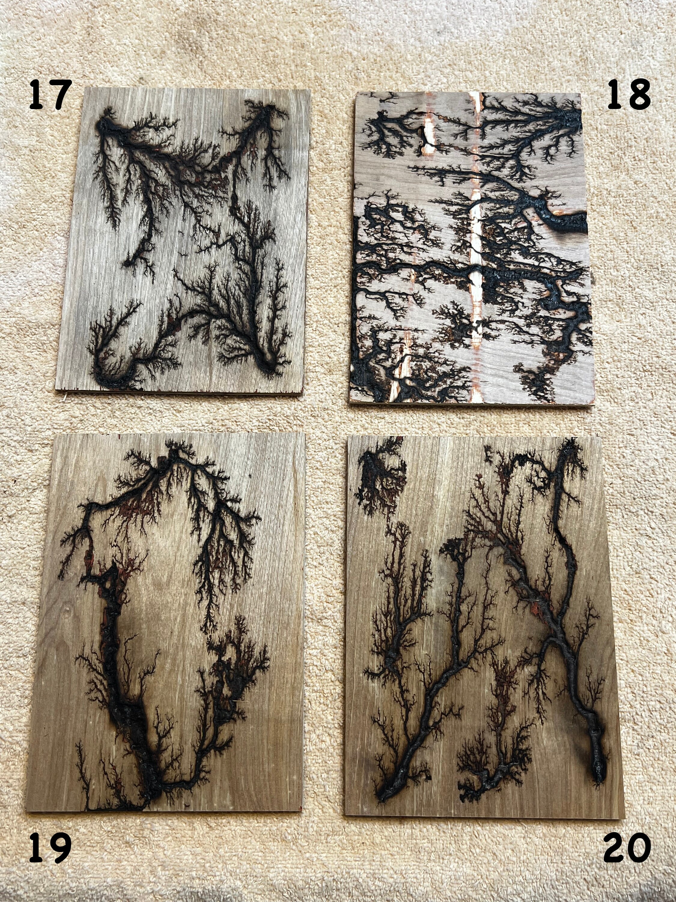 Lichtenberg Wood Burn Designs on 5x7 Inch Unfinished Wood - Etsy