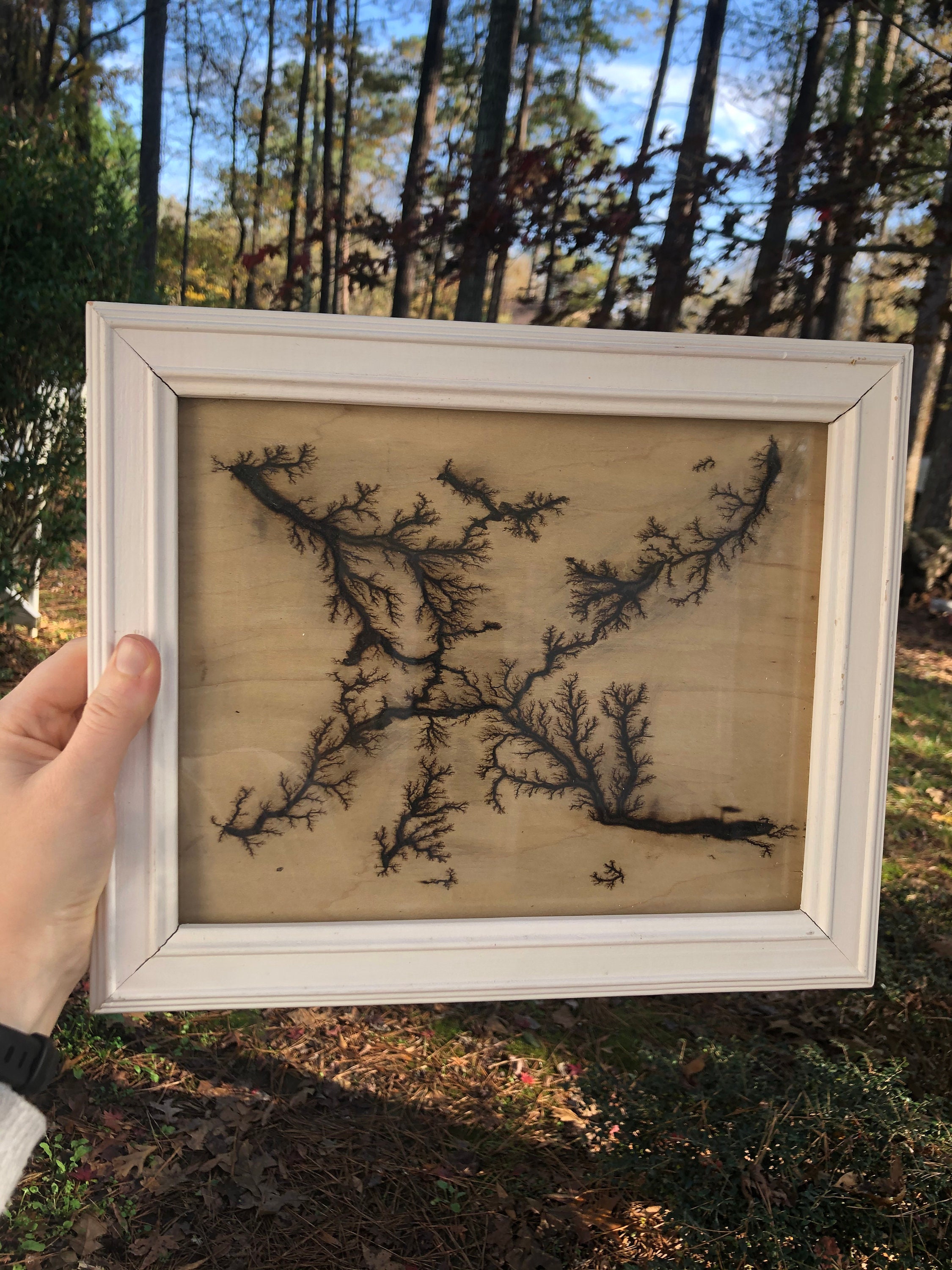 Lichtenberg Wood Burn Designs on 8x10 Inch Unfinished Wood Etsy UK