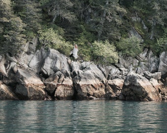 A Tranquil Northwest Coast | Alaska Photography | Nature Art Photo Print | Wall Art