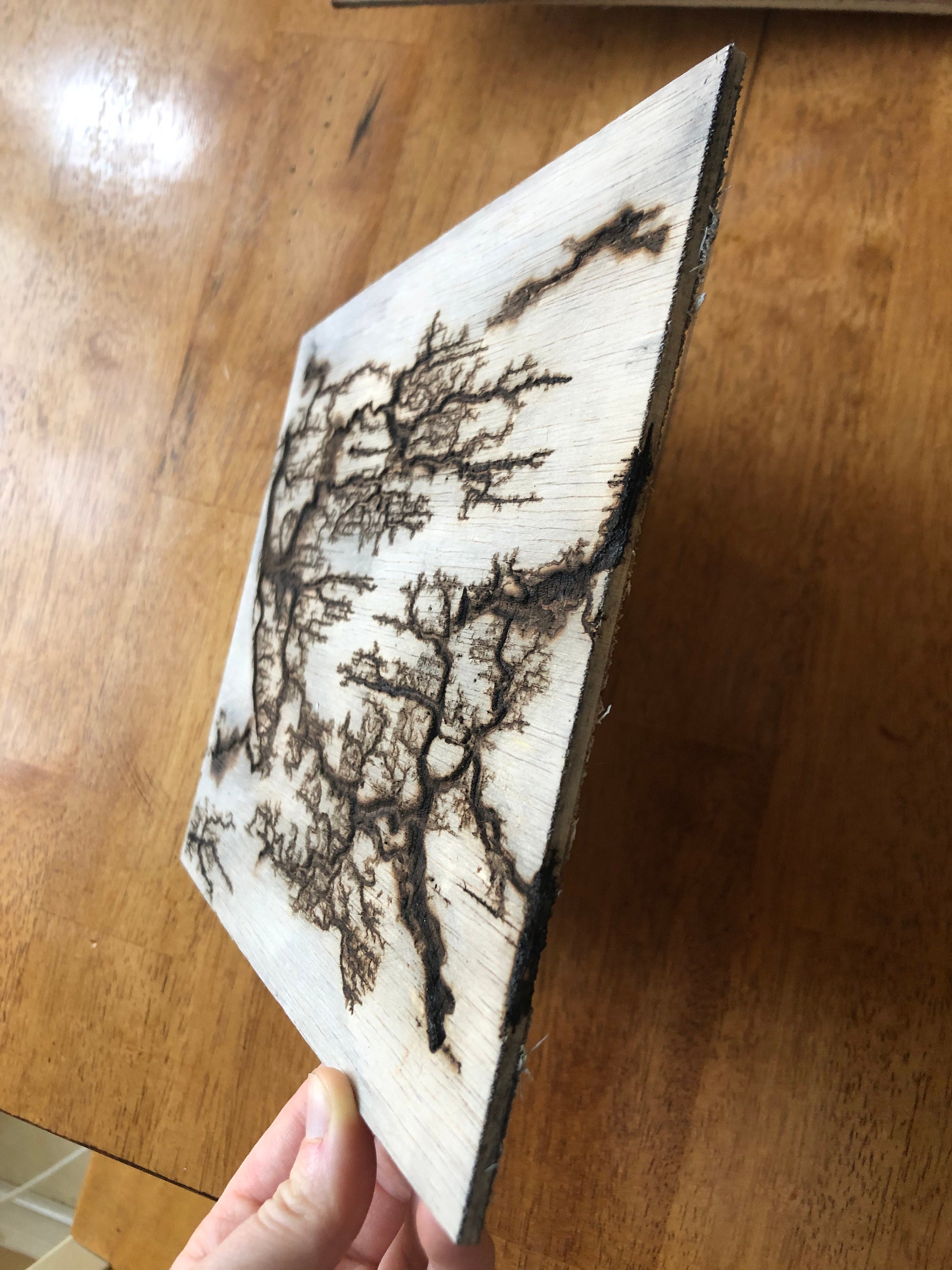 Lichtenberg Wood Burn Designs on 5x7 Inch Unfinished Wood - Etsy