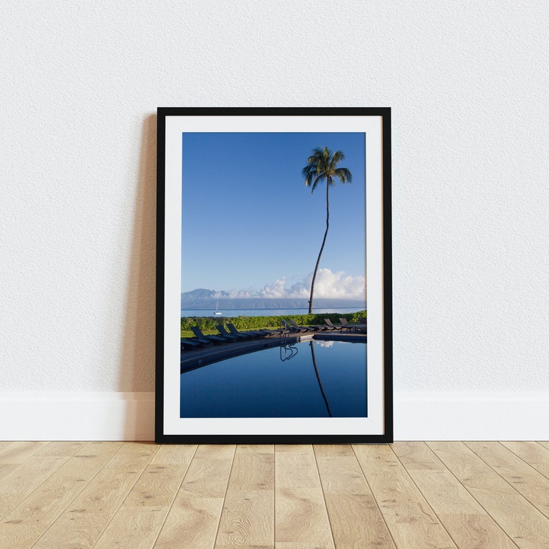 Lone Palm Tree in Maui Hawaii Photography Nature Art Photo image 1