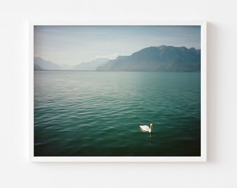 Swan on Lake Geneva | View from Vevey, Switzerland | Oil Painting Style Print | Landscape Photography Wall Art | Film Photography