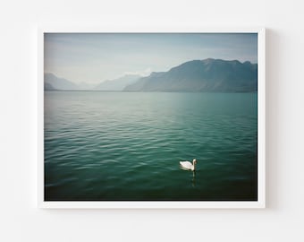 Swan on Lake Geneva | View from Vevey, Switzerland | Oil Painting Style Print | Landscape Photography Wall Art | Film Photography