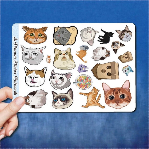 Instrueren influenza Toerist Kat Stickers Kat Stickers Journal Kat Stickers Pack Kat - Etsy België