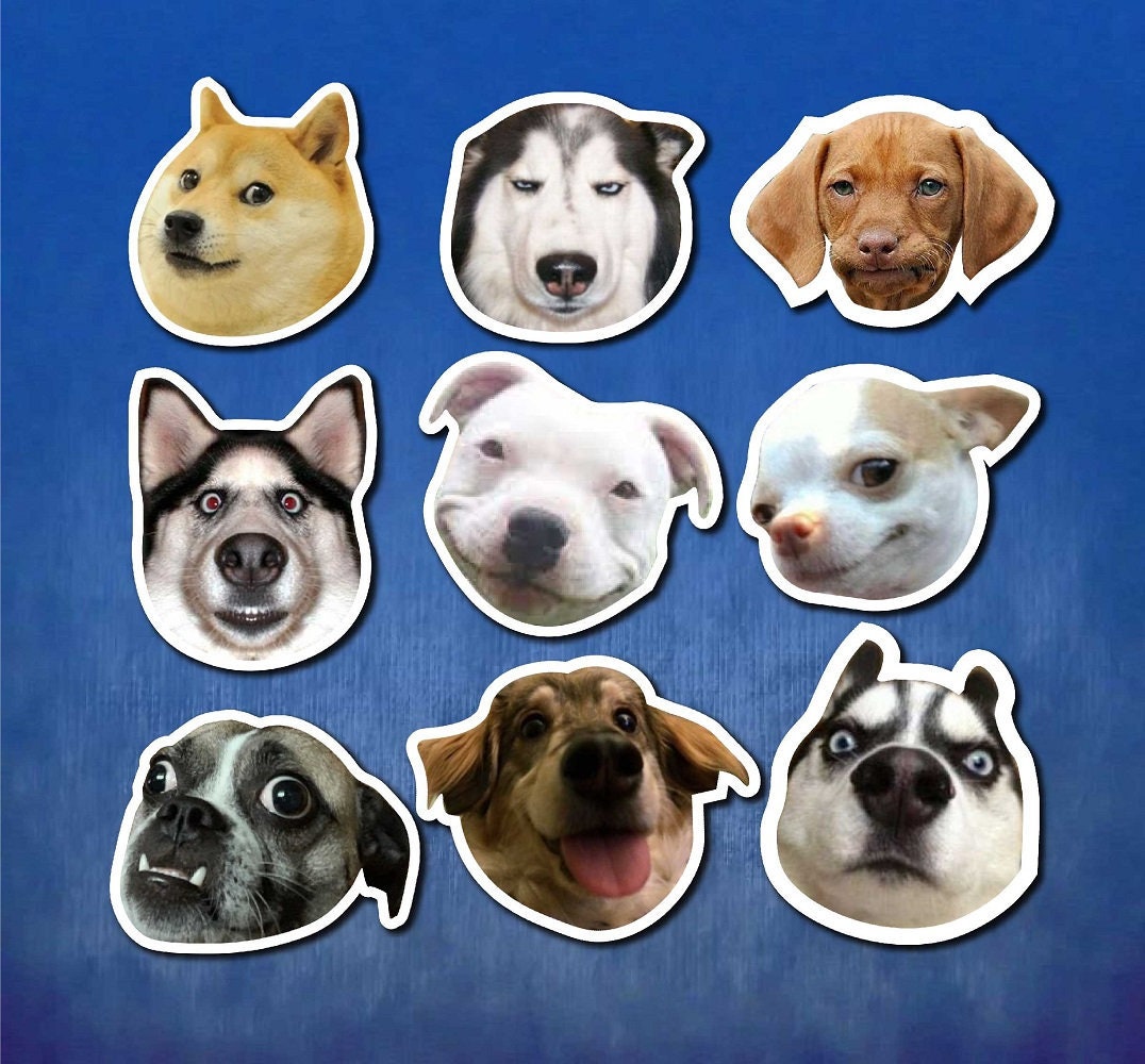 Dog Memes Stickers Funny Dog Meme Stickers Fun Dog Meme Etsy UK