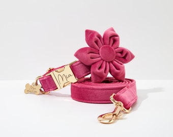 Set di fiori per collare per cani personalizzato rosa, collare per cani personalizzato con fibbia con nome inciso, collare e guinzaglio per cani da sposa