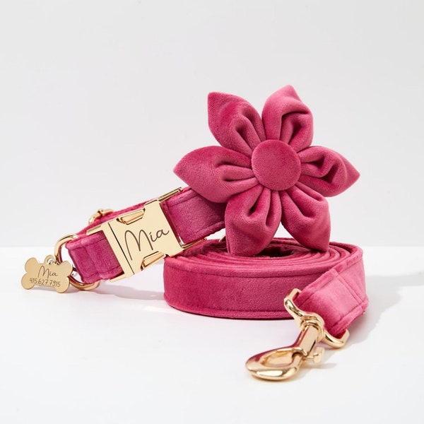 Parure de fleurs rose pour collier de chien personnalisé, collier de chien personnalisé avec boucle gravée, collier de chien de mariage et laisse