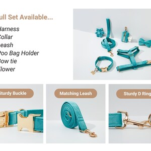 May include: A full set of teal velvet dog accessories, including a harness, collar, leash, poop bag holder, bow tie, and flower. The accessories feature sturdy gold buckles and D-rings.