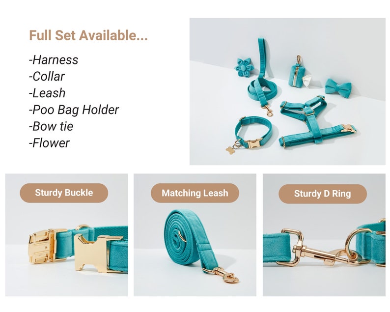 May include: A full set of teal velvet dog accessories, including a harness, collar, leash, poop bag holder, bow tie, and flower. The accessories feature sturdy gold buckles and D-rings.