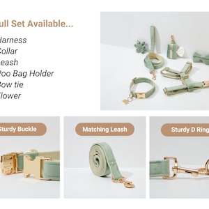 May include: A full set of sage green dog accessories including a harness, collar, leash, poop bag holder, bow tie, and flower. The set features gold hardware and a sturdy buckle.