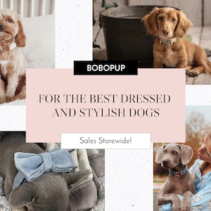 May include: A collage of images featuring dogs wearing stylish collars and accessories. The text "BOBOPUP" and "FOR THE BEST DRESSED AND STYLISH DOGS" is displayed in a pink box. The text "Sales Storewide!" is displayed in a white box.