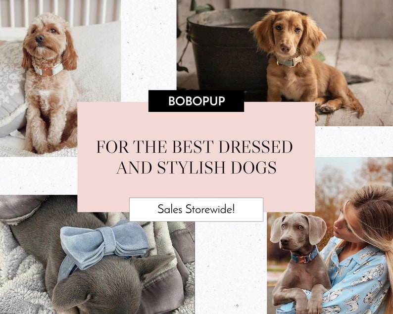 May include: A collage of images featuring dogs wearing stylish collars and accessories. The text "BOBOPUP" and "FOR THE BEST DRESSED AND STYLISH DOGS" is displayed in a pink box. The text "Sales Storewide!" is displayed in a white box.