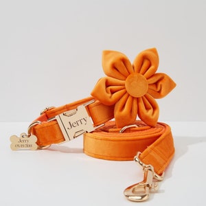 Personalized Orange Velvet Dog Collar Bow Set, Free Name Laser Engraving with Metal Buckle, Wedding Dog Collar Gift, Custom Dog Collar