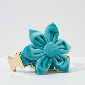 May include: A turquoise blue velvet flower dog collar with a gold metal buckle.