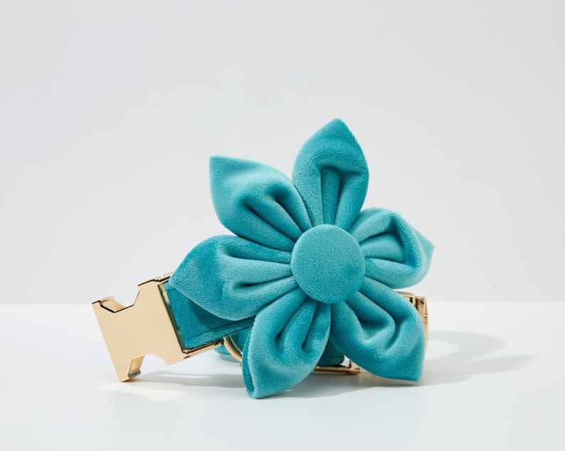May include: A turquoise blue velvet flower dog collar with a gold metal buckle.