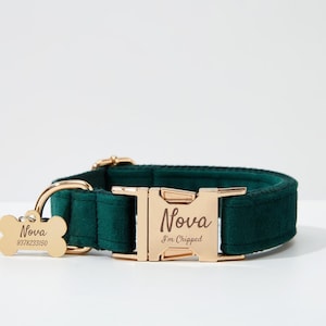 May include: A green velvet dog collar with a gold buckle. The buckle is engraved with the name "Nova" and the text "I'm chipped". A gold bone-shaped tag is attached to the collar and engraved with the name "Nova" and the number "9378233150".