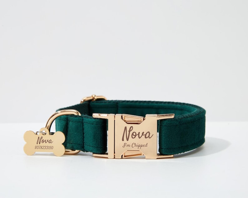 May include: A green velvet dog collar with a gold buckle. The buckle is engraved with the name "Nova" and the text "I'm chipped". A gold bone-shaped tag is attached to the collar and engraved with the name "Nova" and the number "9378233150".