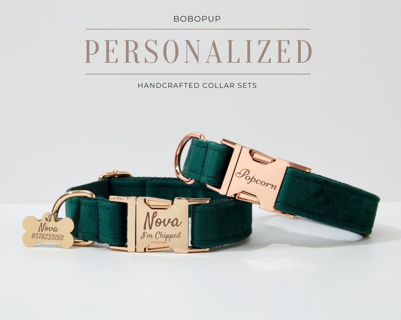 May include: Two personalized dog collars in a dark green velvet fabric with gold metal hardware. The collars are engraved with the names "Nova" and "Popcorn". The smaller collar has a matching engraved dog tag with the name "Nova" and a phone number.