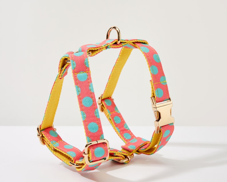 May include: A pink and yellow dog harness with blue polka dots and gold hardware.