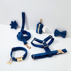Blue Velvet Wedding Dog Harness with Gold Hardware,Personalised Dog Harness for Summer,Designer Harness Collar and Leash Set for Small Dog
