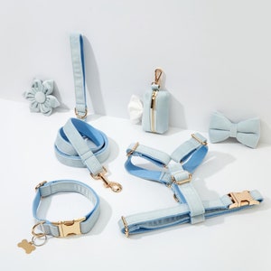 Baby Blue Velvet Personalized Harness With Gold Hardware,Fancy Velvet Harness Dog Collar and Leash Set for Large Small Puppy, Free Shipping