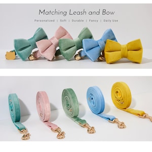 May include: Five matching dog leashes and bow ties in different colors: green, pink, light blue, and yellow. The leashes are made of a soft, velvety material and have a gold-colored clasp. The bow ties are also made of velvet and have a small bell attached.