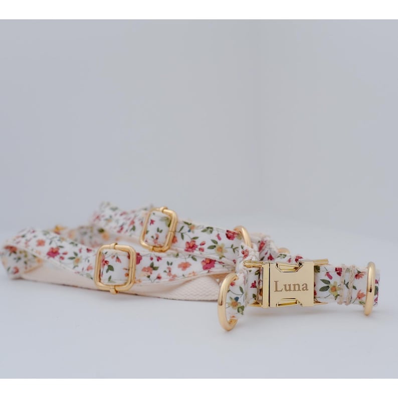 May include: A white dog collar with a floral pattern and gold hardware. The collar has a personalized name tag that reads "Luna".
