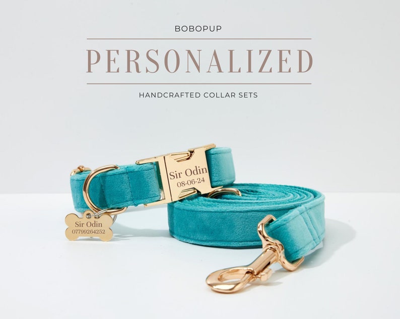 May include: A turquoise blue velvet dog collar and leash set with gold hardware. The collar has a personalized name tag that reads "Sir Odin 08-06-24". The leash has a matching tag with the name and a phone number.