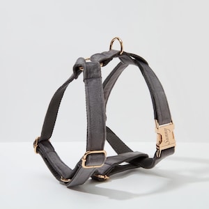 May include: A grey velvet dog harness with gold hardware and the word "Sunny" engraved on the buckle.