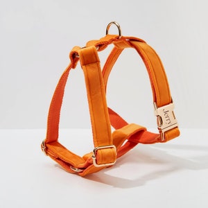 Może przedstawiać: Pomarańczowa szelka dla psa ze złotą klamrą i wygrawerowanym imieniem "Jerry".