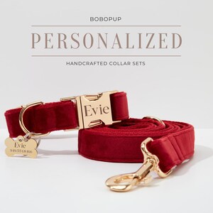 May include: A red velvet dog collar and leash set with gold hardware. The collar has a personalized name tag that reads "Evie".
