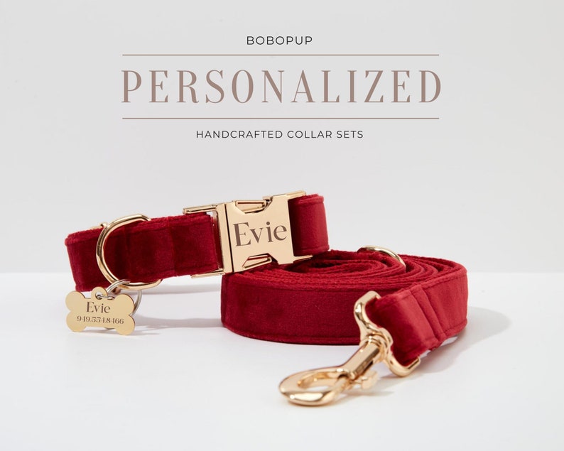 May include: A red velvet dog collar and leash set with gold hardware. The collar has a personalized name tag that reads "Evie".
