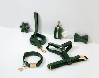 Green Velvet Dog Harness, Step in Harness Personalised Gold Hardware Harness for Girl Puppy, Dog Collar Harness and Leash Set, FREE Shipping