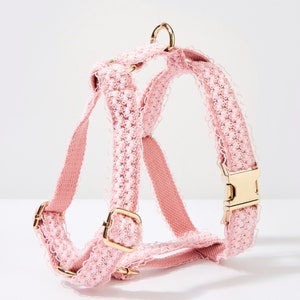 Collar y correa para perros hechos a mano de encaje rosa, elegante collar personalizado para cachorros de verano Kawaii con hebilla dorada, collar personalizado para mascotas de verano lindo imagen 2