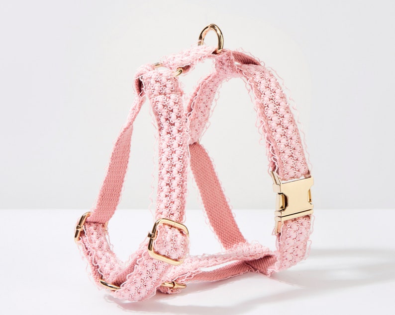 Collar y correa para perros hechos a mano de encaje rosa, elegante collar personalizado para cachorros de verano Kawaii con hebilla dorada, collar personalizado para mascotas de verano lindo imagen 2