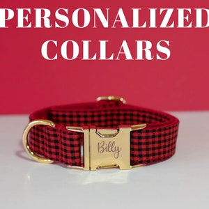 May include: Red and black plaid dog collar with a gold buckle and the name "Billy" engraved on it.