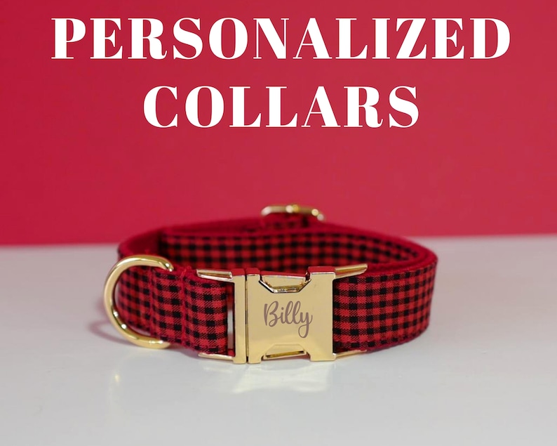 May include: Red and black plaid dog collar with a gold buckle and the name "Billy" engraved on it.