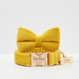 Yellow Velvet Personalized Dog Collar Bow Tie Set, Handmade Puppy Bowtie Collar, Engraved Gold Name Tag,Custom Dog Collar For Boy And Girl