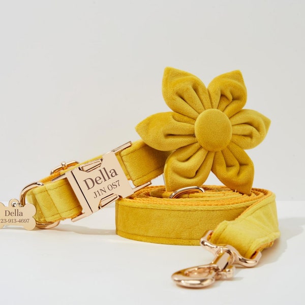 Luxurious Flower Dog Collar Lead Set in Yellow Velvet, Puppy Collar Flower For Girl, Puppy Collar For Cat Collar,Flower Dog Collar For Gift