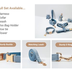 May include: A light blue dog harness, collar, lead, and poo bag holder set with gold hardware. The set also includes a matching bow tie and flower.