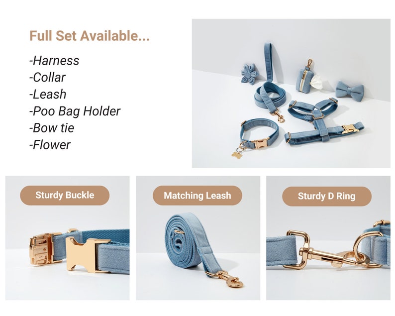 May include: A light blue dog harness, collar, lead, and poo bag holder set with gold hardware. The set also includes a matching bow tie and flower.