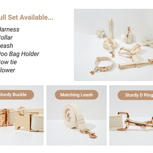 May include: A complete set of dog accessories in a cream colour with gold hardware. The set includes a harness, collar, leash, poo bag holder, bow tie, and flower. The text "Full Set Available..." is displayed above the accessories.