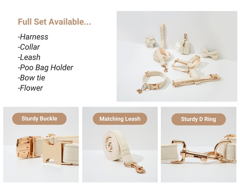 May include: A complete set of dog accessories in a cream colour with gold hardware. The set includes a harness, collar, leash, poo bag holder, bow tie, and flower. The text "Full Set Available..." is displayed above the accessories.