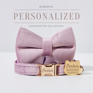Lavender Velvet Cat Collar Leash Bowtie, Personalized Kitten Collar Bowtie , Engraved Kitten Tag For Birthday Gift,Puppy Collar Bowtie Set