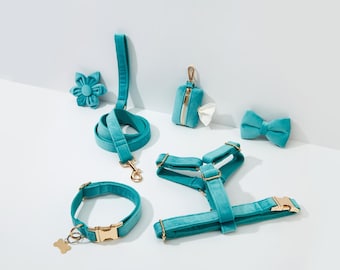 Turquoise Velvet Personalized Harness With Gold Hardware,Fancy Velvet Harness Dog Collar and Leash Set for Large Small Puppy, Free Shipping
