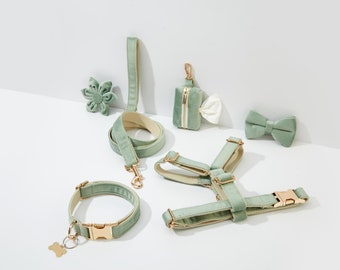 Salie groen fluweel gepersonaliseerd harnas met gouden hardware, fancy fluwelen harnas halsband en riem set voor grote puppy, gratis verzending