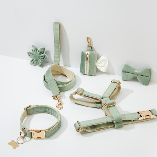 Sage Green Velvet Personalisiertes Geschirr mit Gold-Hardwares, ausgefallenes Samt-Geschirr Hundehalsband und Leine Set für großen Welpen, kostenloser Versand