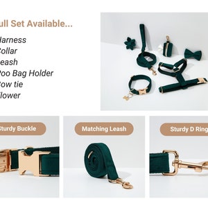 May include: A full set of green velvet dog accessories, including a harness, collar, leash, poop bag holder, bow tie, and flower. The accessories feature gold hardware and are shown on a white background.