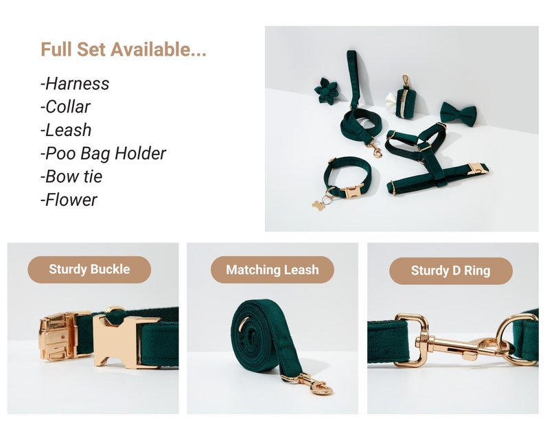 May include: A full set of green velvet dog accessories, including a harness, collar, leash, poop bag holder, bow tie, and flower. The accessories feature gold hardware and are shown on a white background.